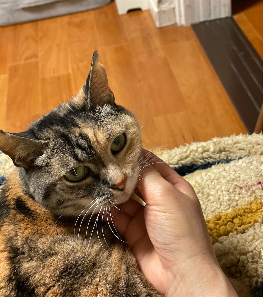 f:id:hiraryo0201:20230520212108j:image