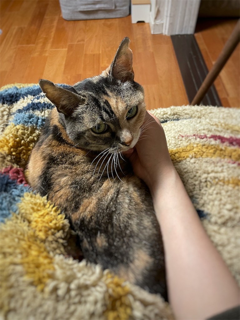 f:id:hiraryo0201:20230520212117j:image