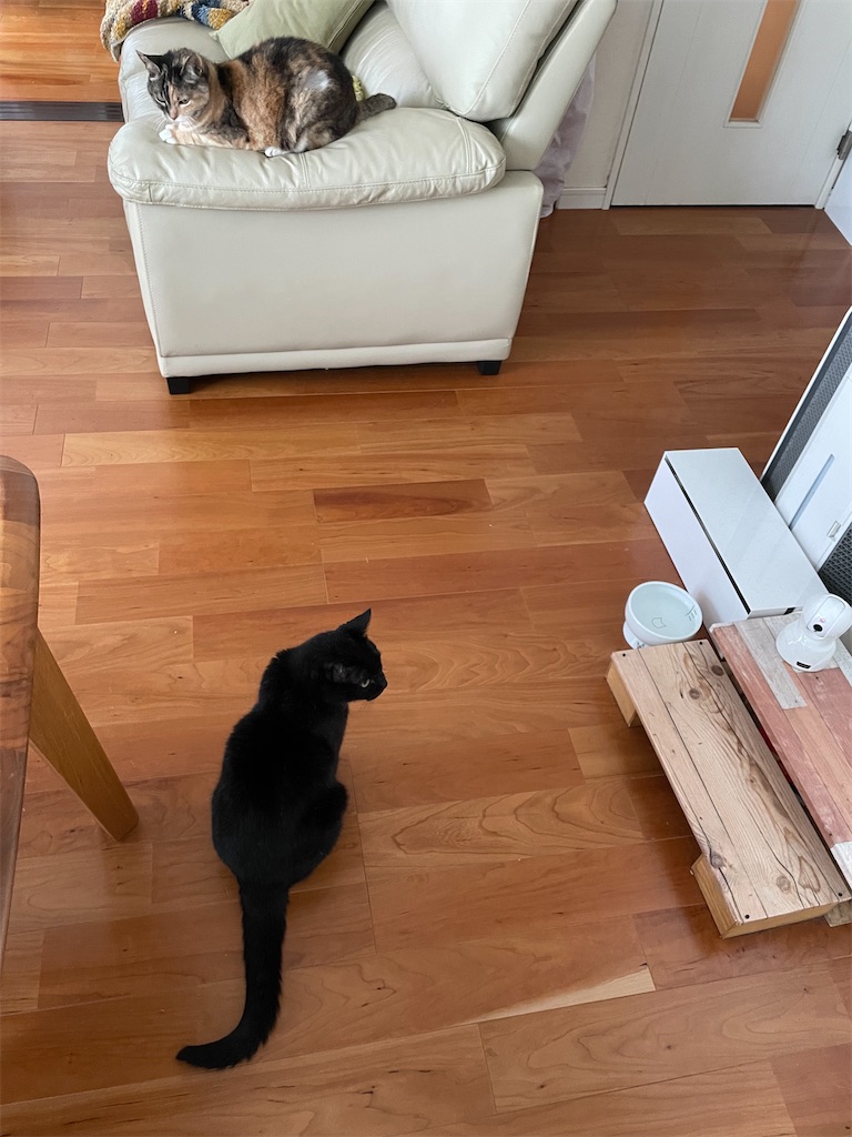 f:id:hiraryo0201:20230521093854j:image f:id:hiraryo0201:20230521093854j:image