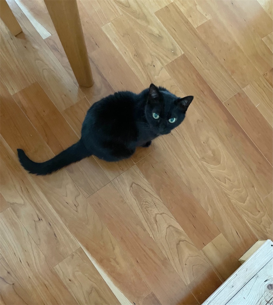 f:id:hiraryo0201:20230521093921j:image