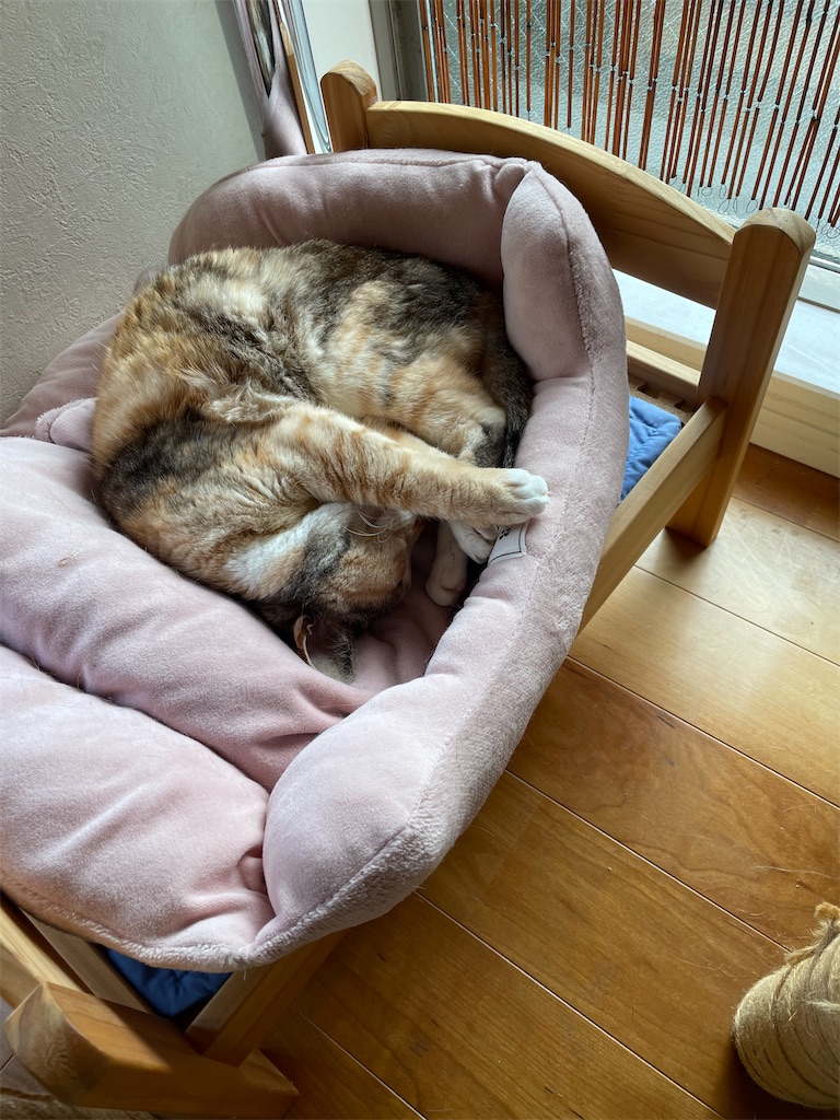 f:id:hiraryo0201:20230521161239j:image f:id:hiraryo0201:20230521161239j:image