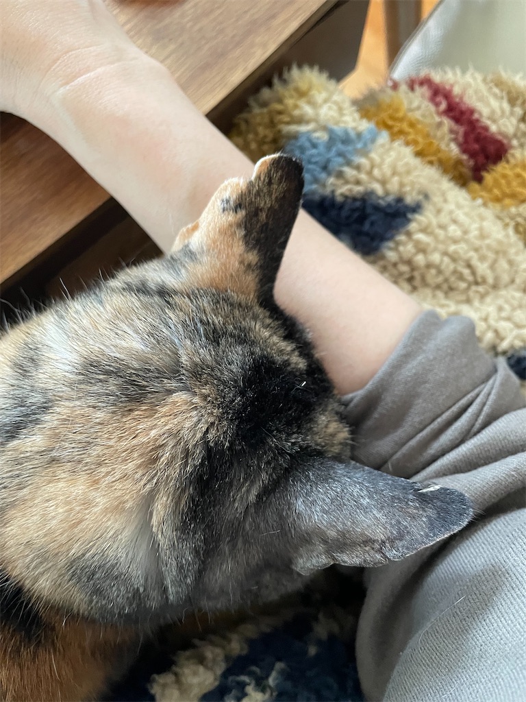 f:id:hiraryo0201:20230526122425j:image f:id:hiraryo0201:20230526122425j:image