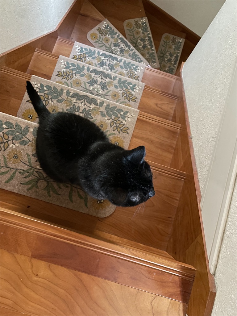 f:id:hiraryo0201:20230528091627j:image