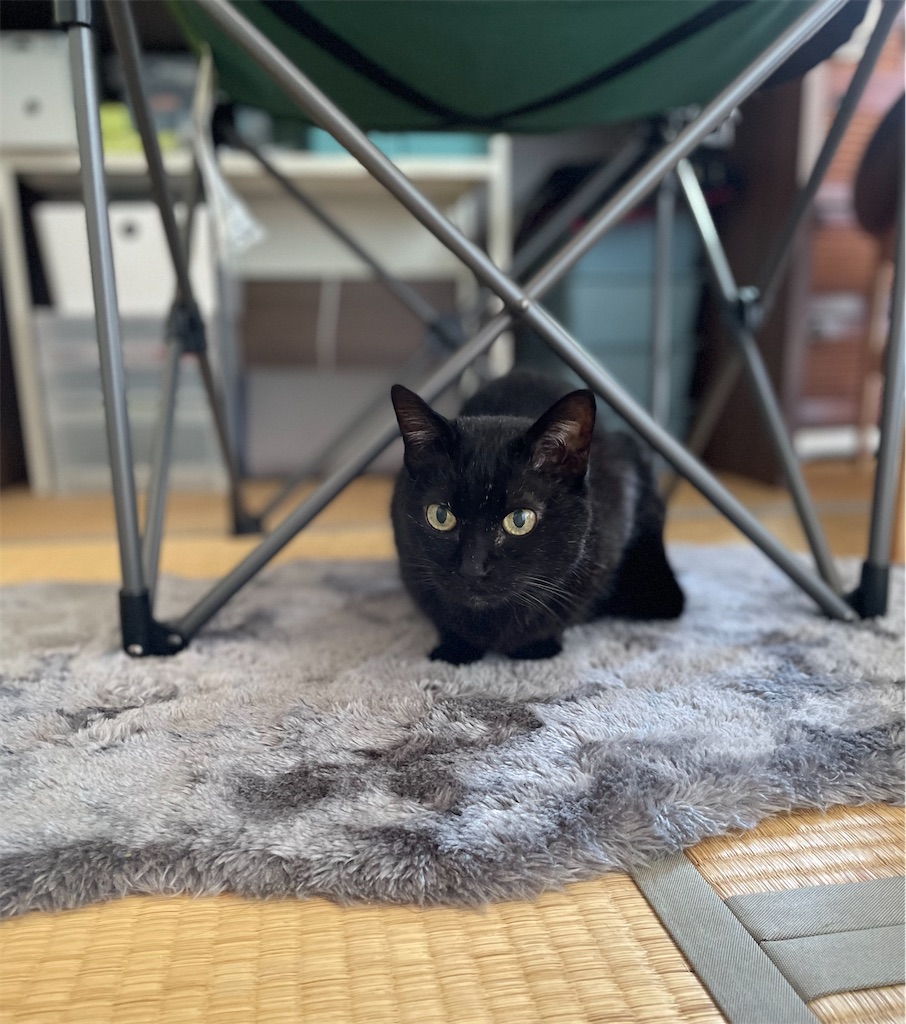 f:id:hiraryo0201:20230528091637j:image