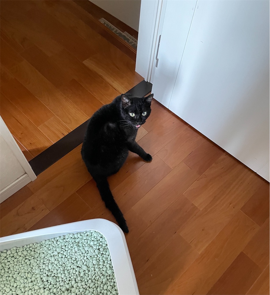 f:id:hiraryo0201:20230528091640j:image