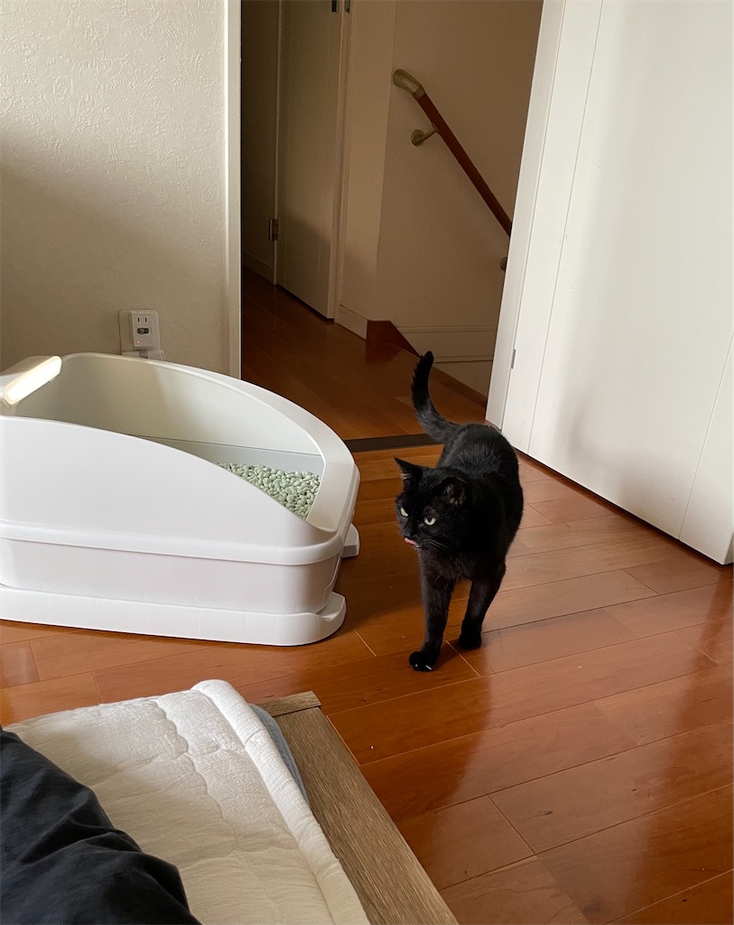 f:id:hiraryo0201:20230528091646j:image