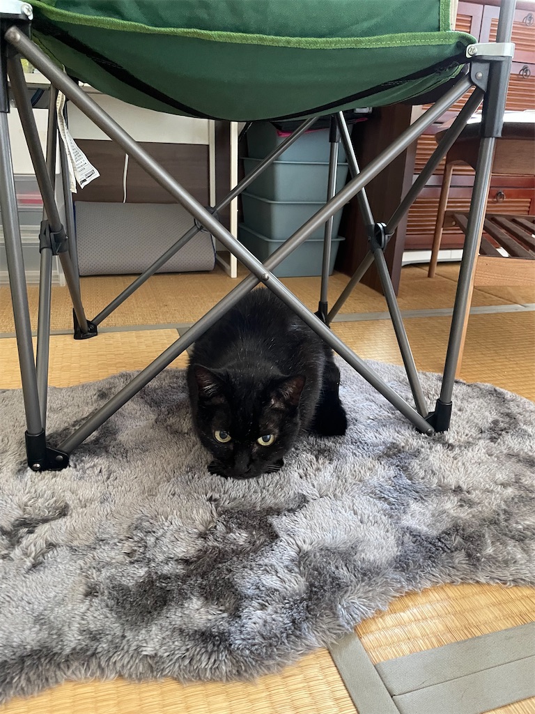 f:id:hiraryo0201:20230528091649j:image