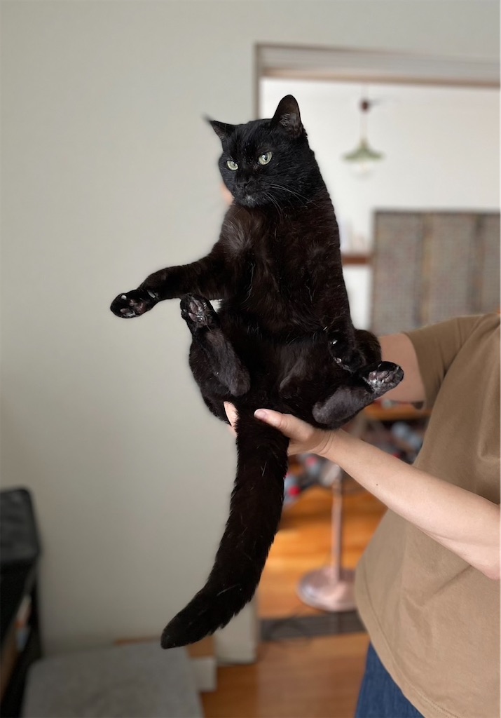 f:id:hiraryo0201:20230528102558j:image