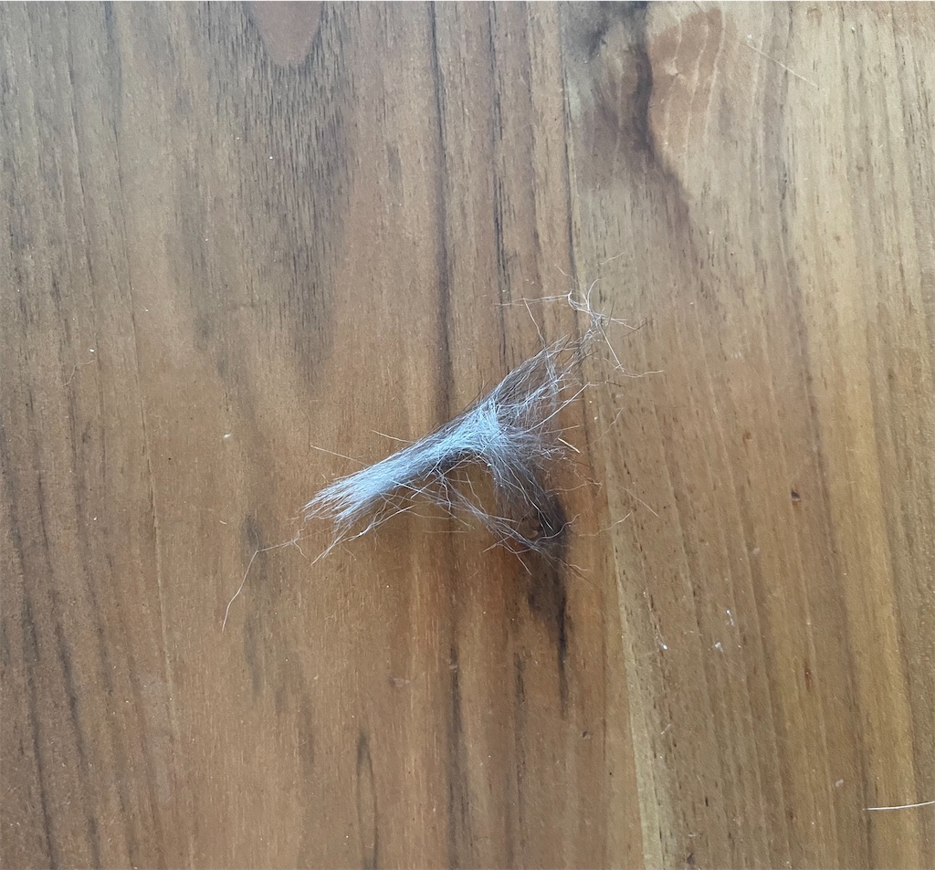 f:id:hiraryo0201:20230528171436j:image