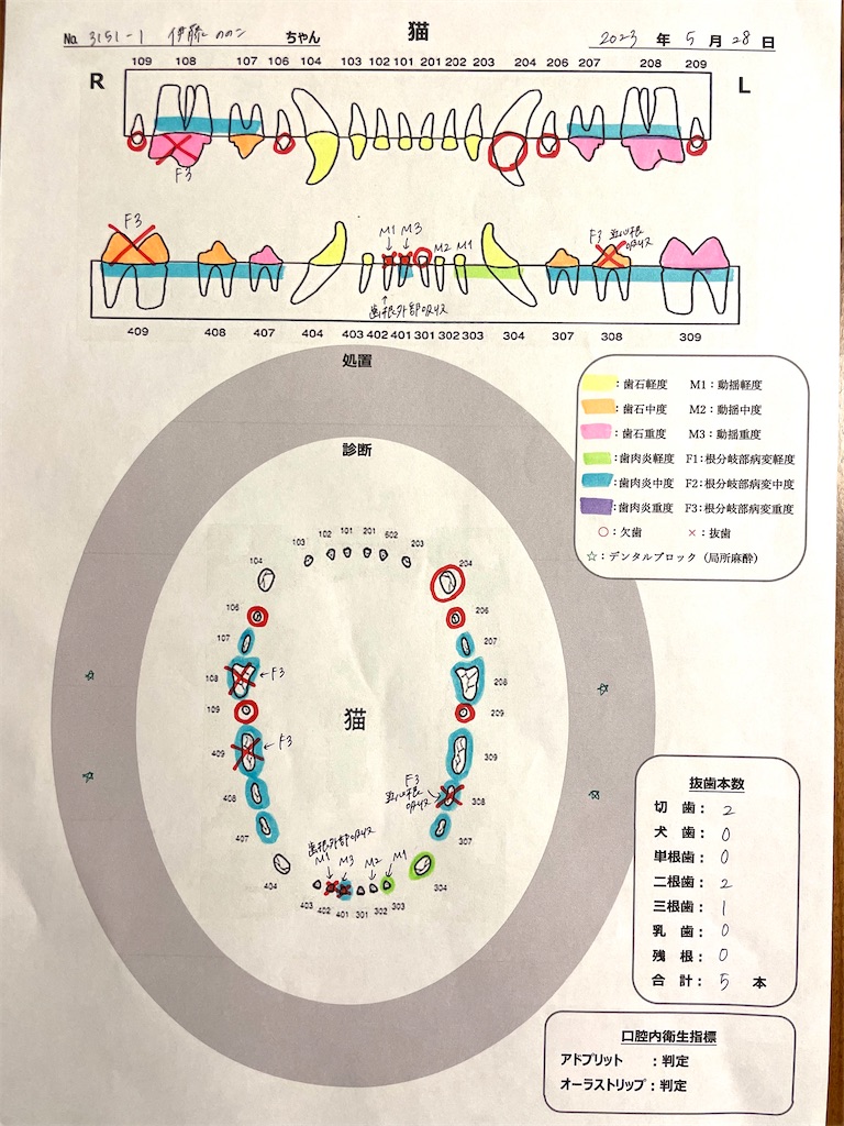 f:id:hiraryo0201:20230529000231j:image