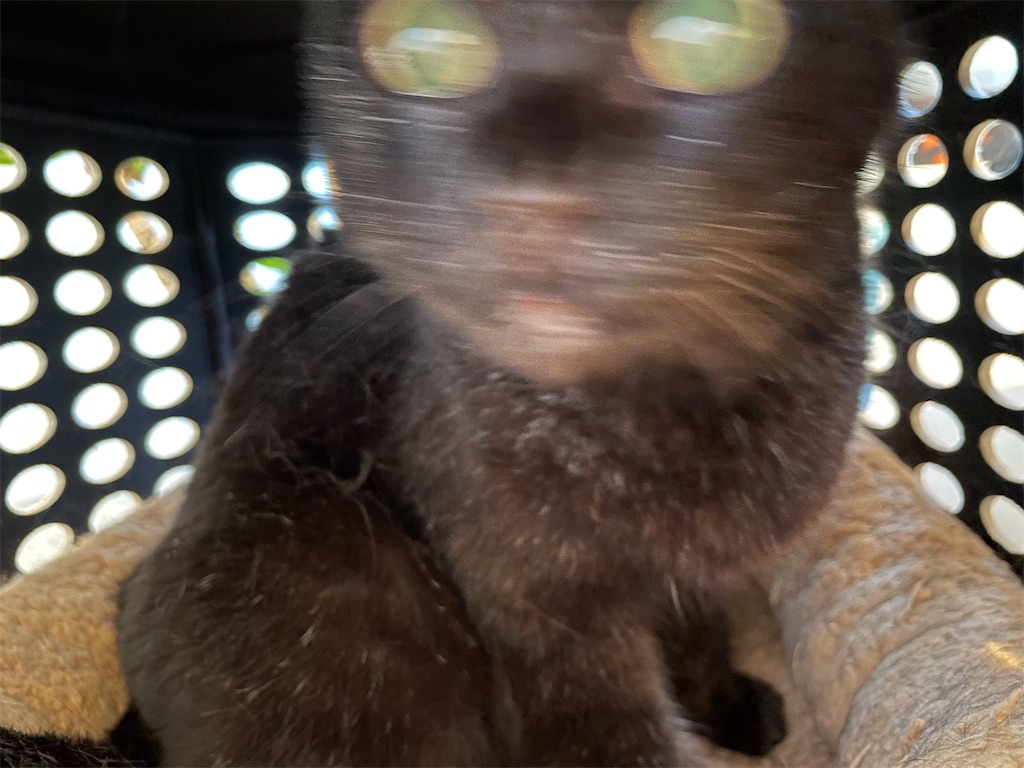 f:id:hiraryo0201:20230530122418j:image f:id:hiraryo0201:20230530122418j:image