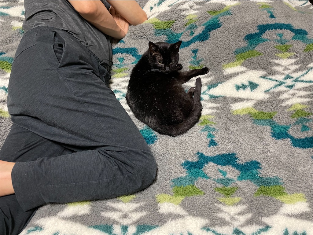 f:id:hiraryo0201:20230530122421j:image f:id:hiraryo0201:20230530122421j:image