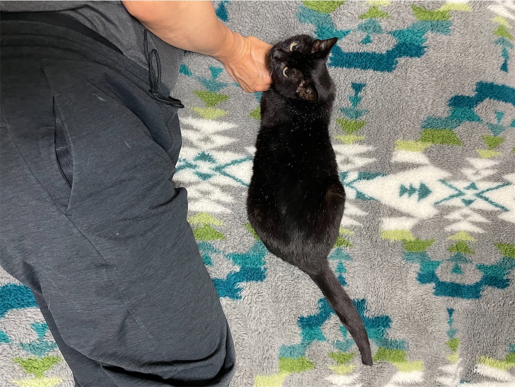 f:id:hiraryo0201:20230530122425j:image f:id:hiraryo0201:20230530122425j:image