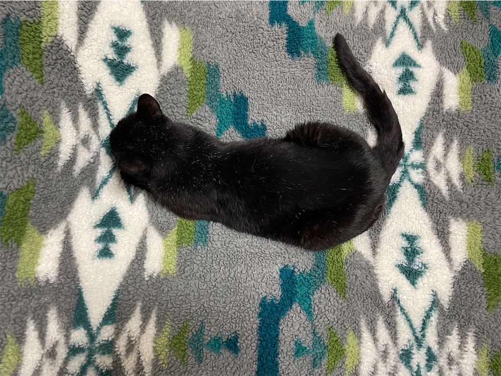 f:id:hiraryo0201:20230530122431j:image f:id:hiraryo0201:20230530122431j:image