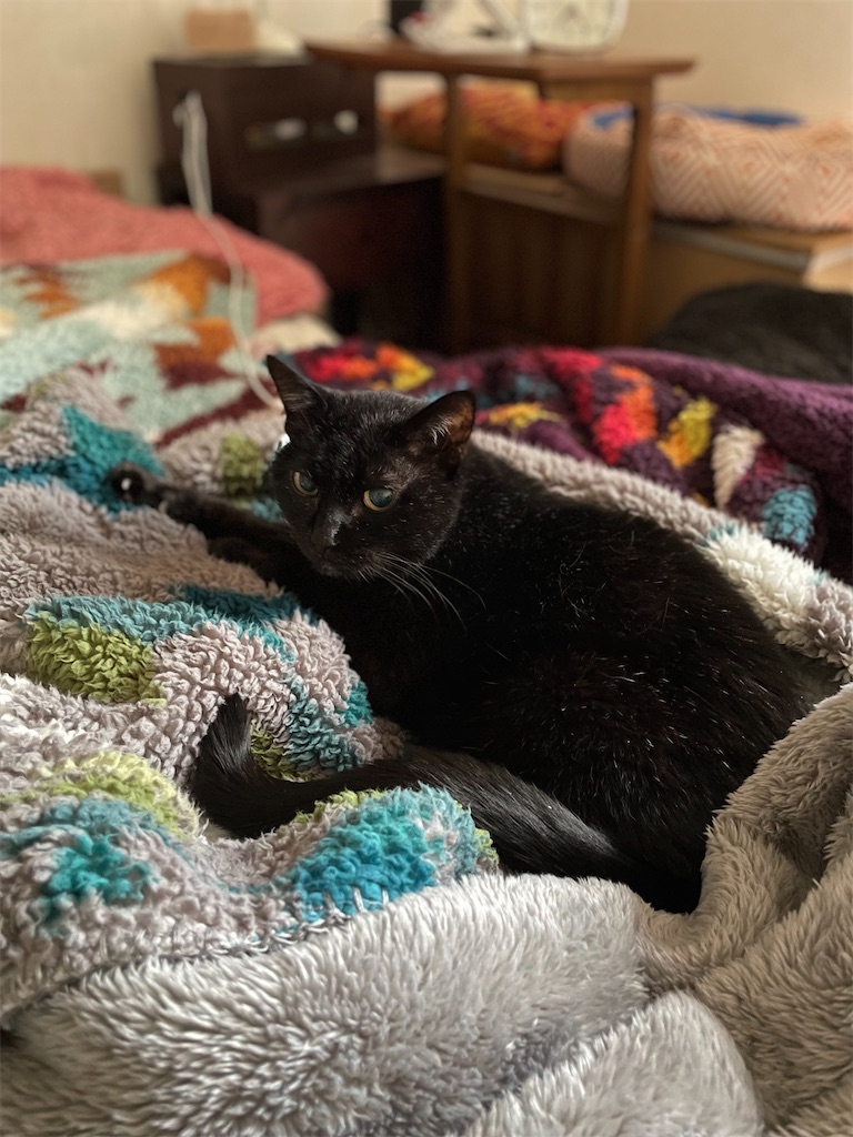 f:id:hiraryo0201:20230530122637j:image f:id:hiraryo0201:20230530122637j:image