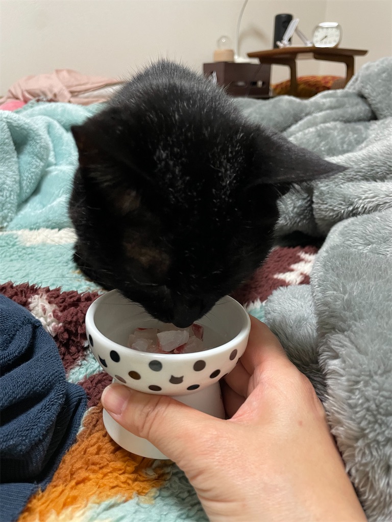 f:id:hiraryo0201:20230530122643j:image f:id:hiraryo0201:20230530122643j:image