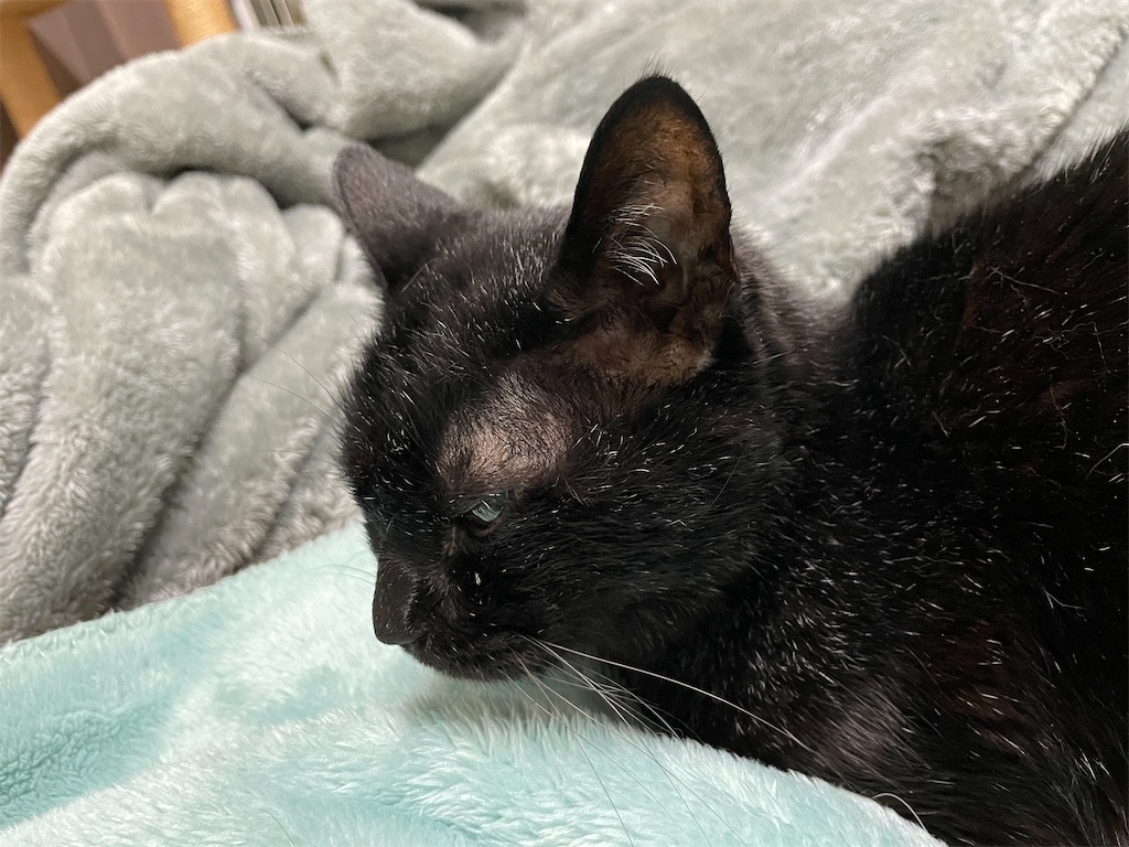 f:id:hiraryo0201:20230530122646j:image