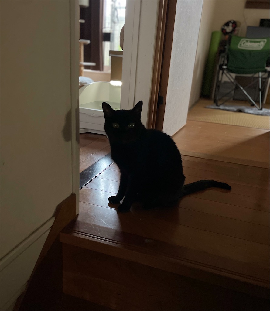 f:id:hiraryo0201:20230601202619j:image