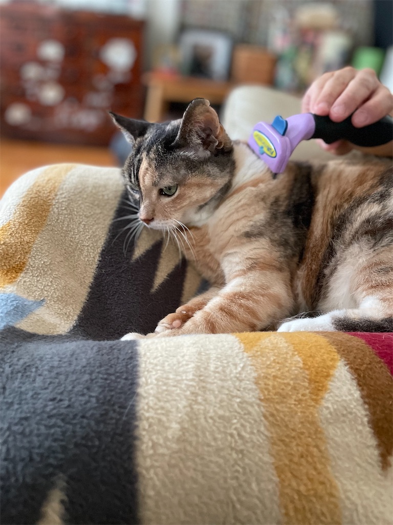 f:id:hiraryo0201:20230620202247j:image f:id:hiraryo0201:20230620202247j:image