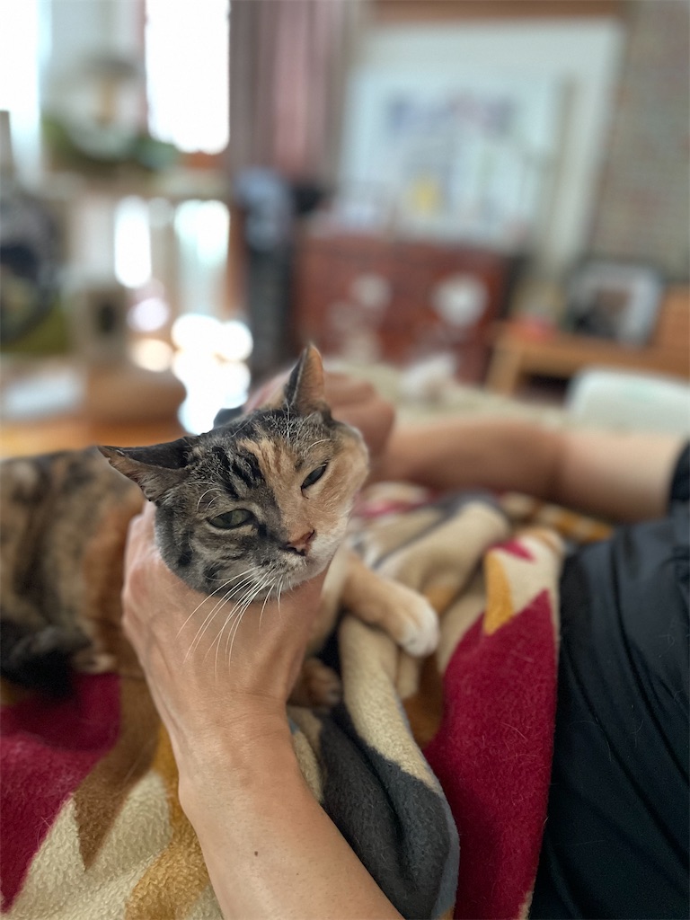 f:id:hiraryo0201:20230620202253j:image f:id:hiraryo0201:20230620202253j:image