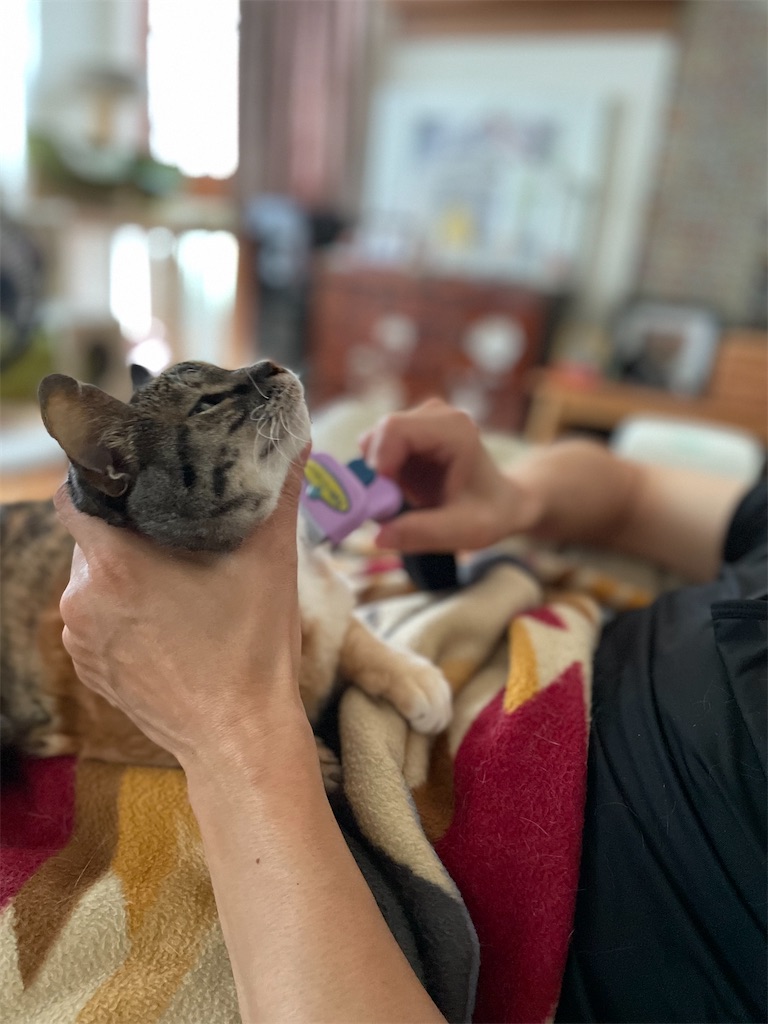 f:id:hiraryo0201:20230620202259j:image f:id:hiraryo0201:20230620202259j:image