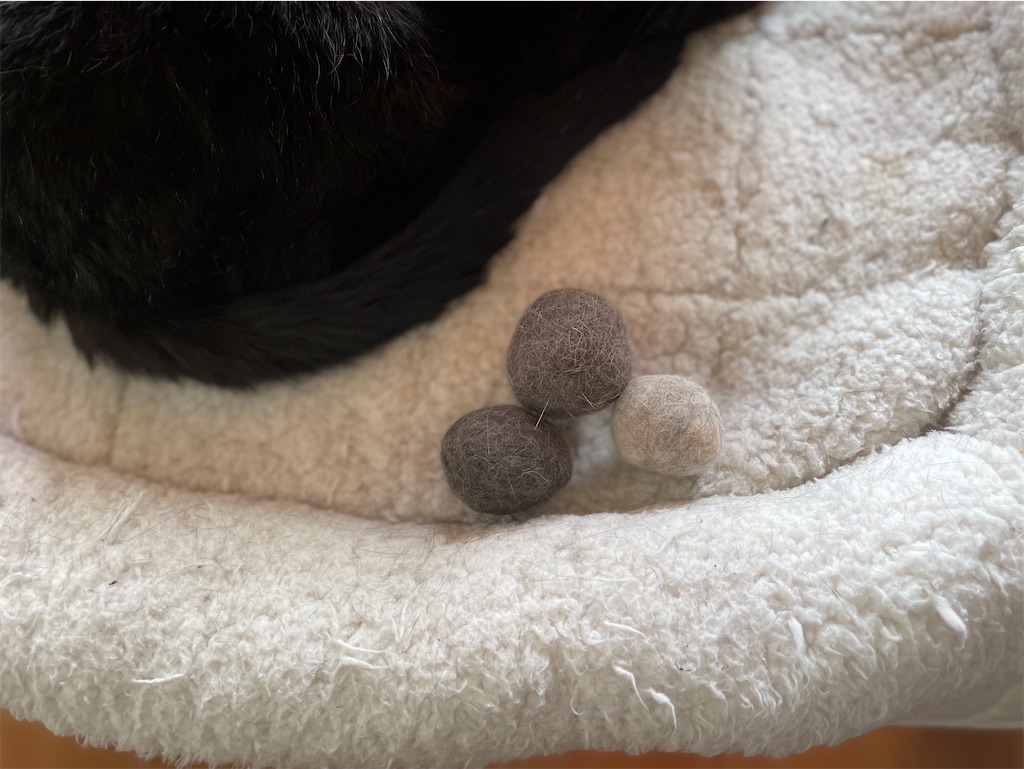 f:id:hiraryo0201:20230620202311j:image f:id:hiraryo0201:20230620202311j:image