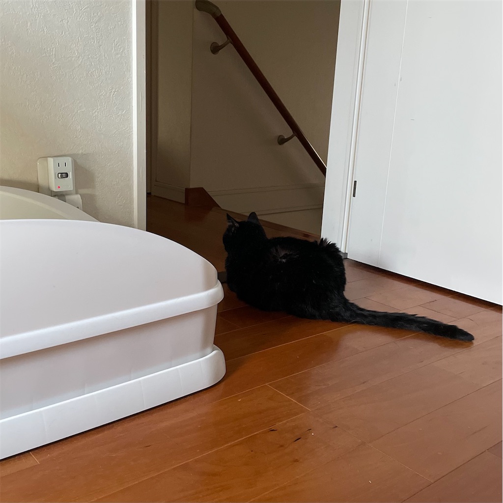 f:id:hiraryo0201:20230623080853j:image