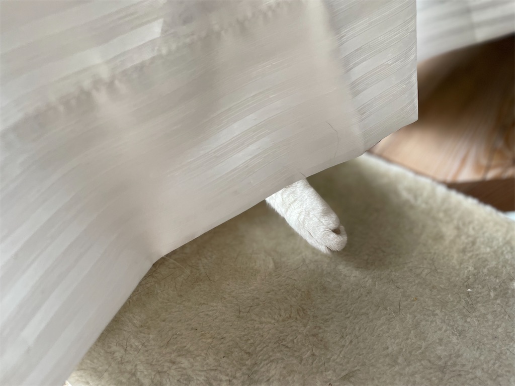 f:id:hiraryo0201:20230701103314j:image