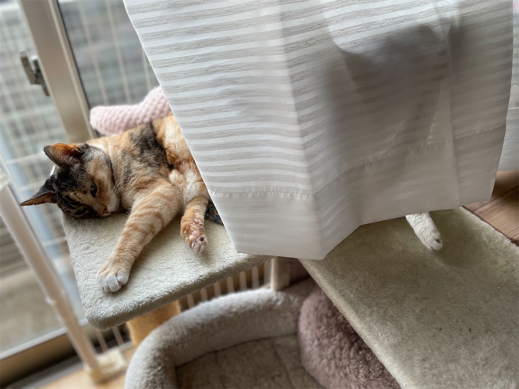 f:id:hiraryo0201:20230701103325j:image