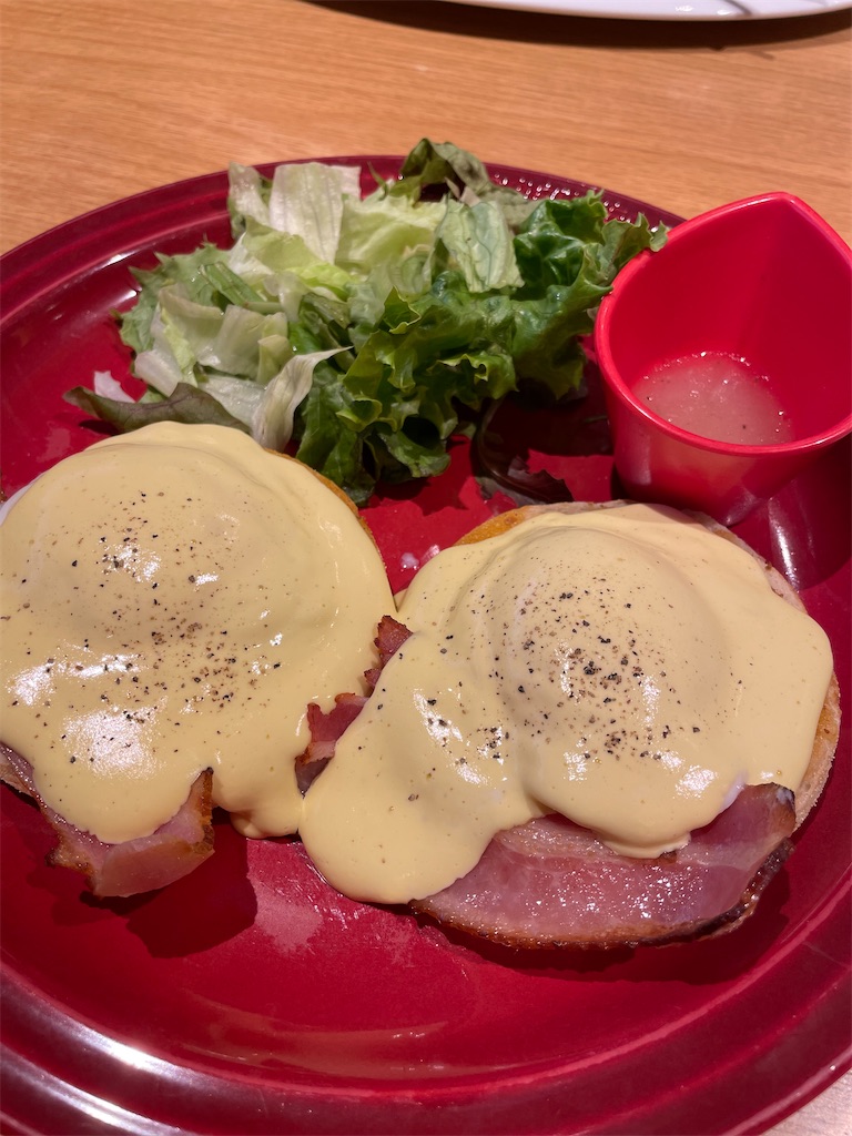 f:id:hiraryo0201:20230701120200j:image