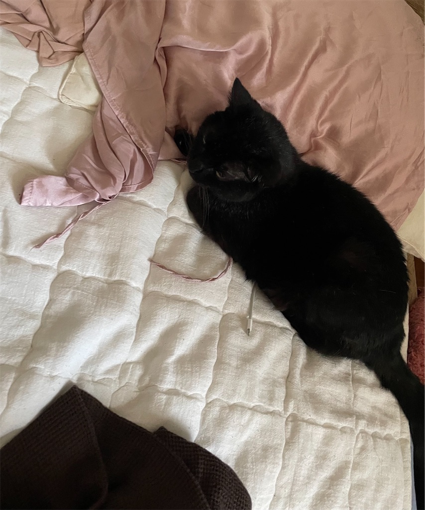 f:id:hiraryo0201:20230702111448j:image