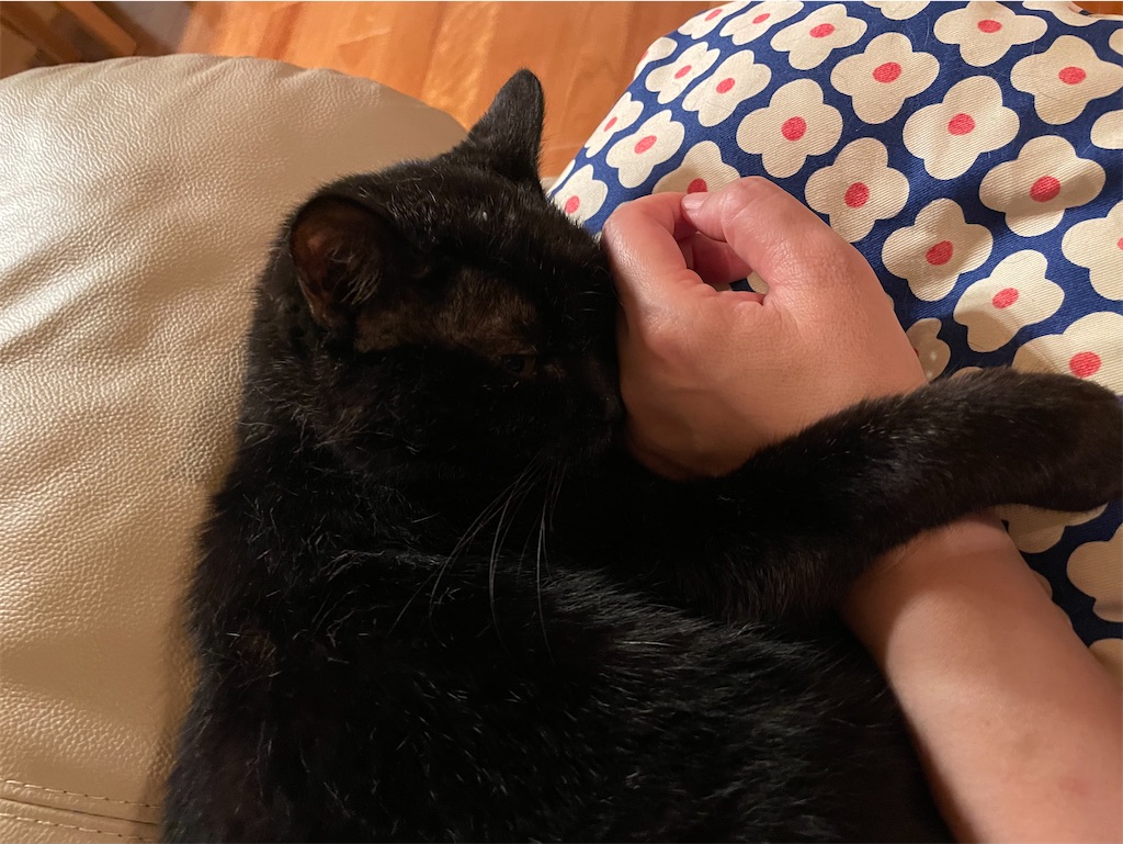 f:id:hiraryo0201:20230710194900j:image