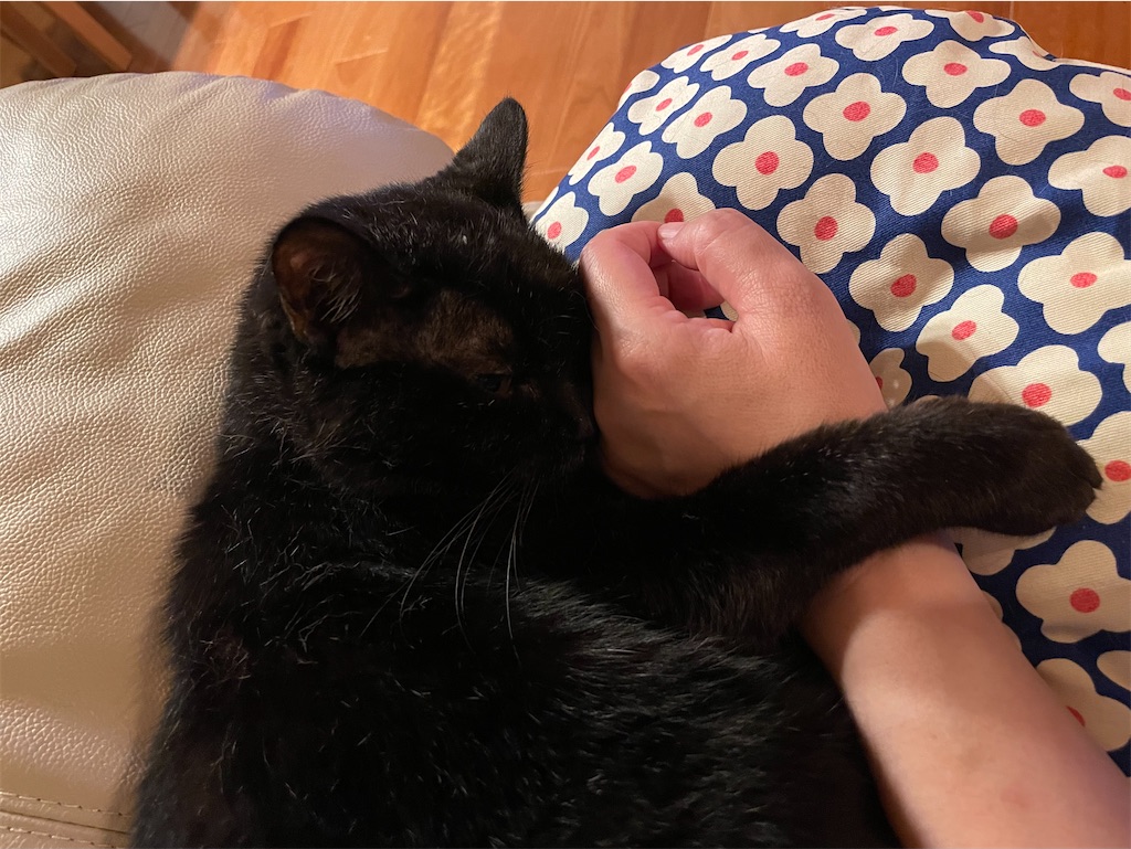 f:id:hiraryo0201:20230710194903j:image