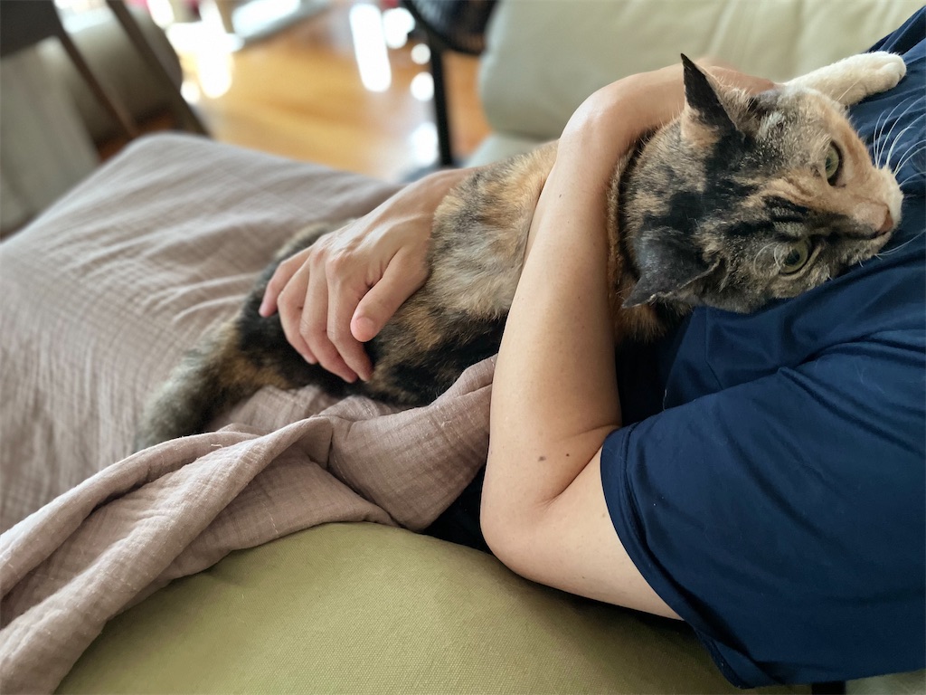 f:id:hiraryo0201:20230710201350j:image f:id:hiraryo0201:20230710201350j:image