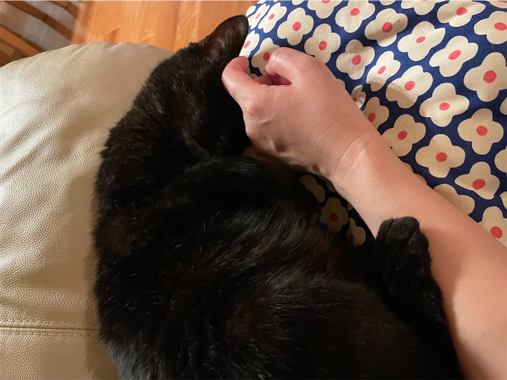 f:id:hiraryo0201:20230710201435j:image f:id:hiraryo0201:20230710201435j:image