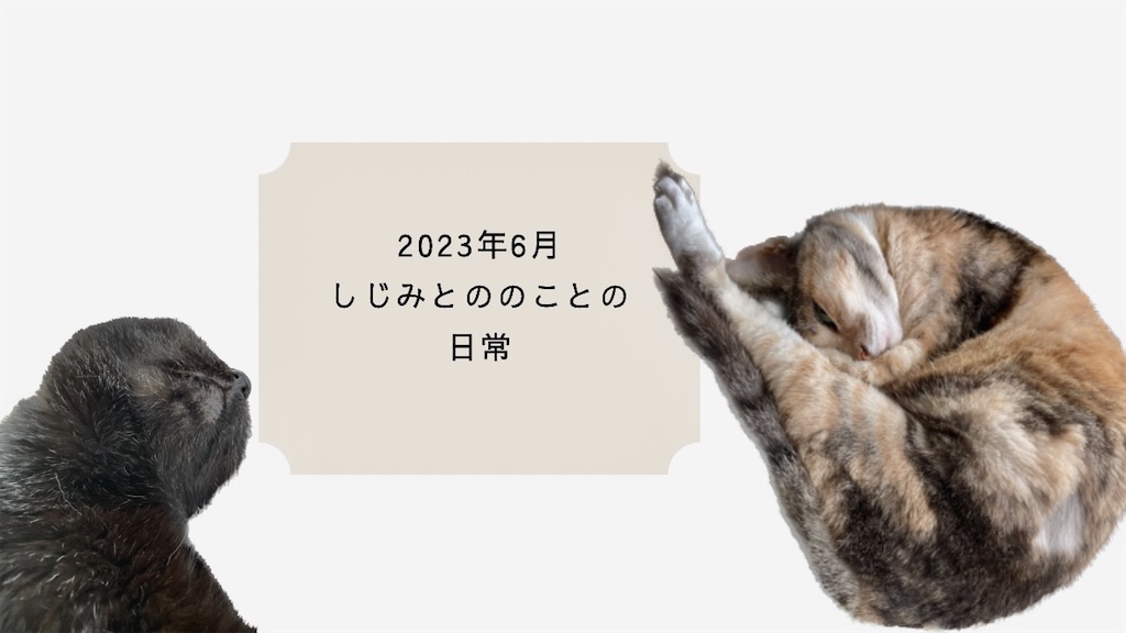 f:id:hiraryo0201:20230711201618j:image