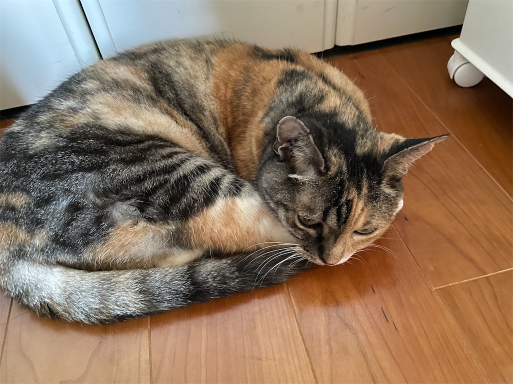 f:id:hiraryo0201:20230716164917j:image f:id:hiraryo0201:20230716164917j:image