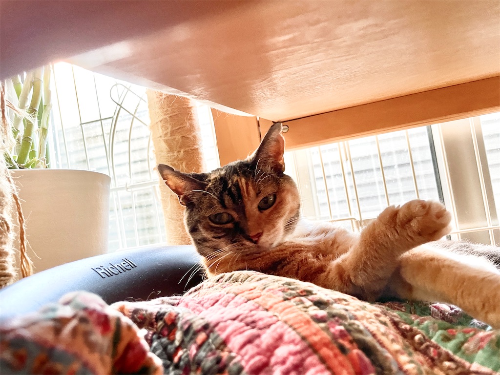 f:id:hiraryo0201:20230817111859j:image