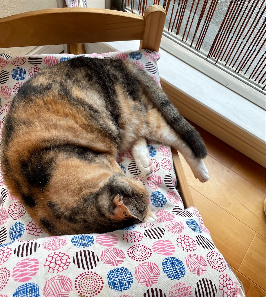 f:id:hiraryo0201:20230817112112j:image