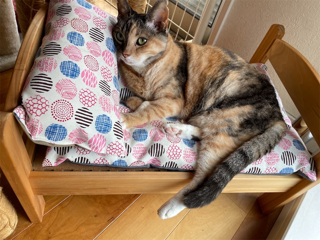 f:id:hiraryo0201:20230817112120j:image