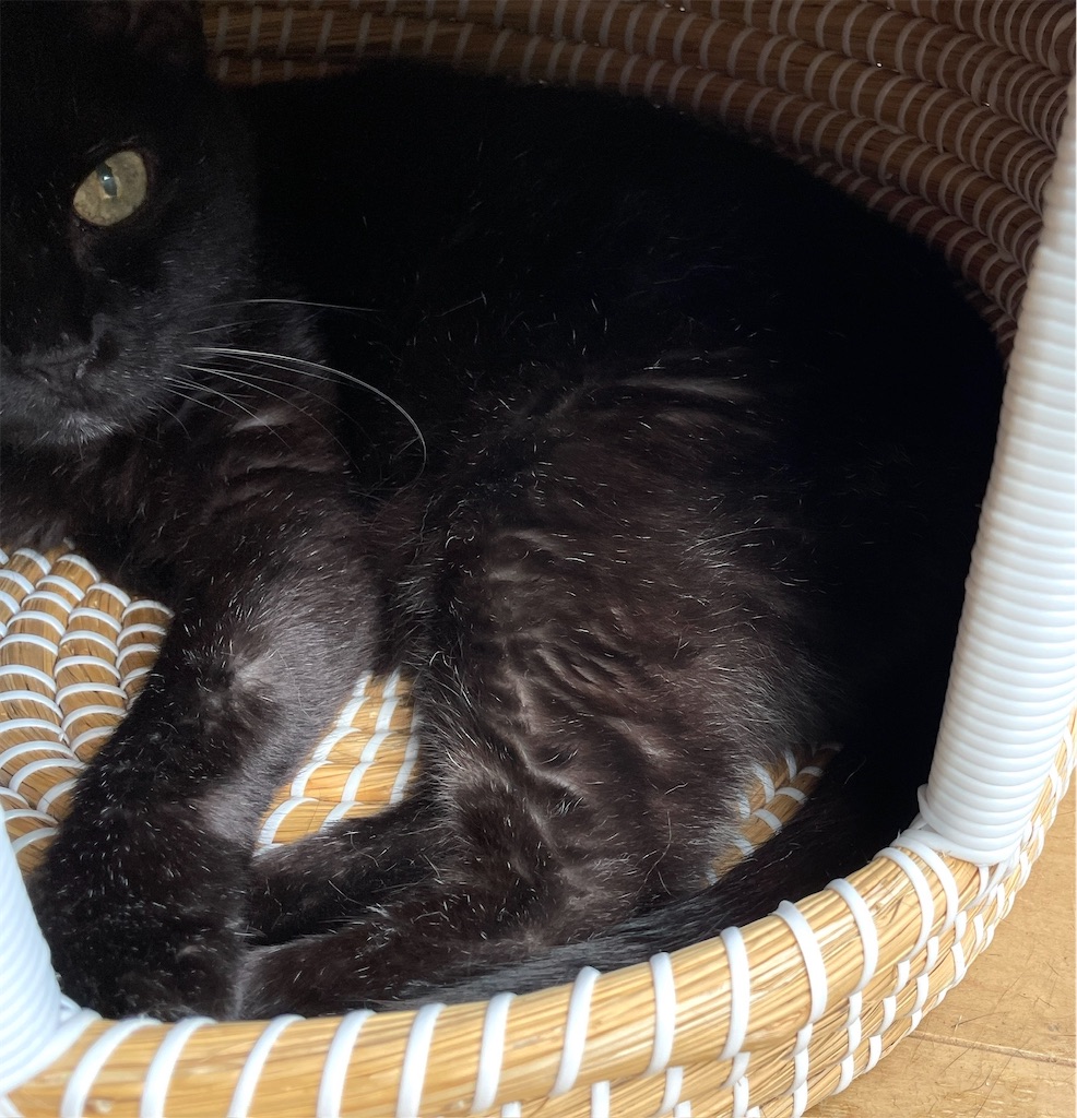 f:id:hiraryo0201:20230817112129j:image