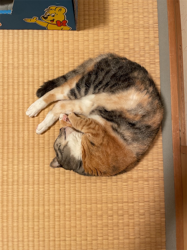 f:id:hiraryo0201:20230902081312j:image f:id:hiraryo0201:20230902081312j:image