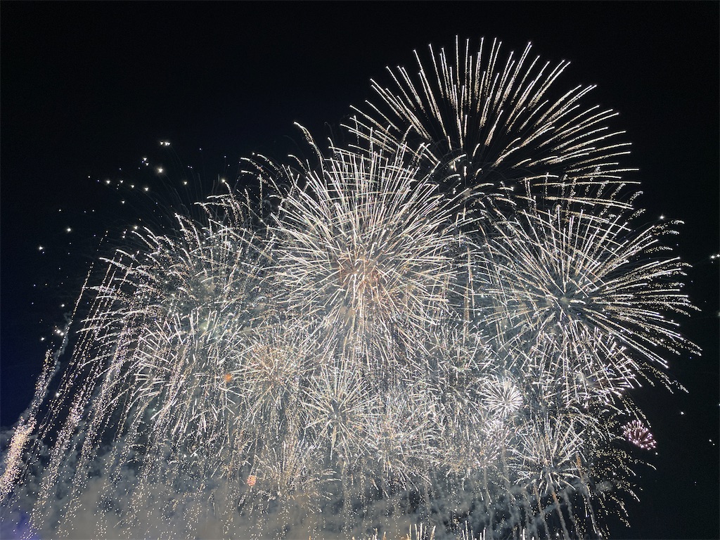 f:id:hiraryo0201:20230903083214j:image