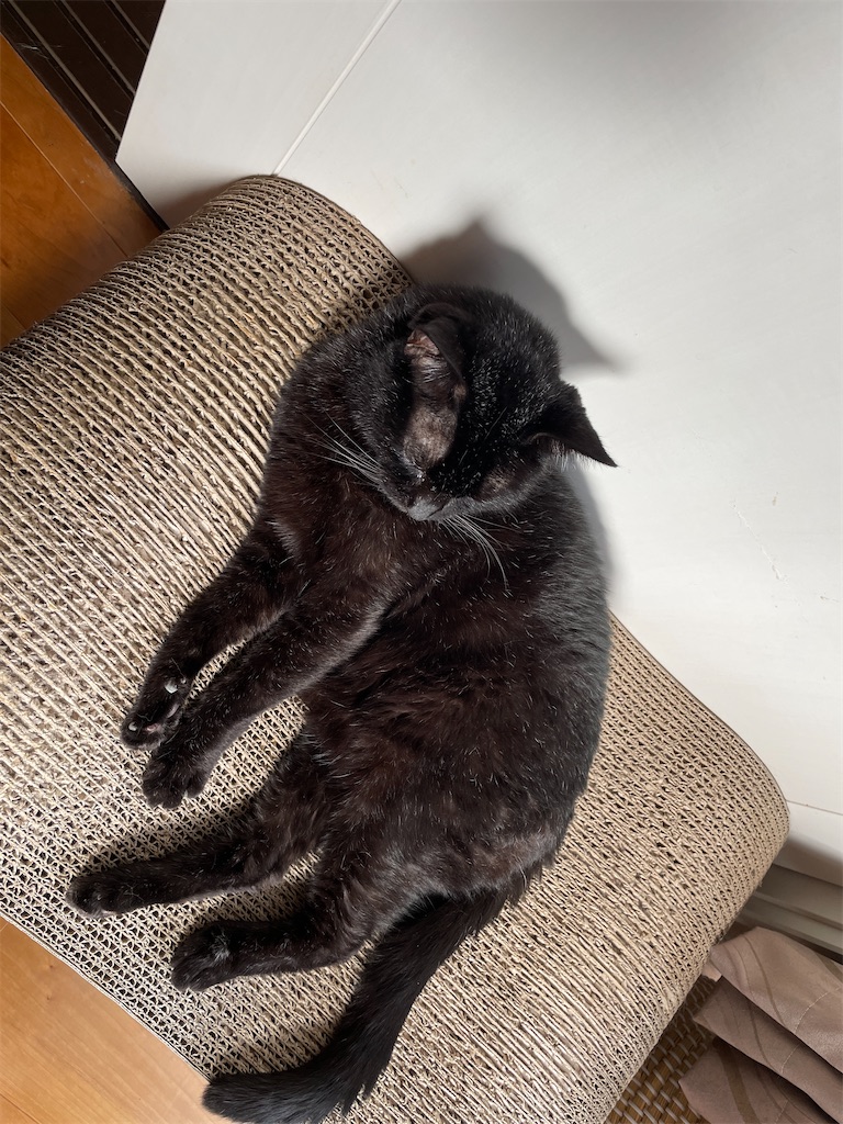 f:id:hiraryo0201:20230910160614j:image