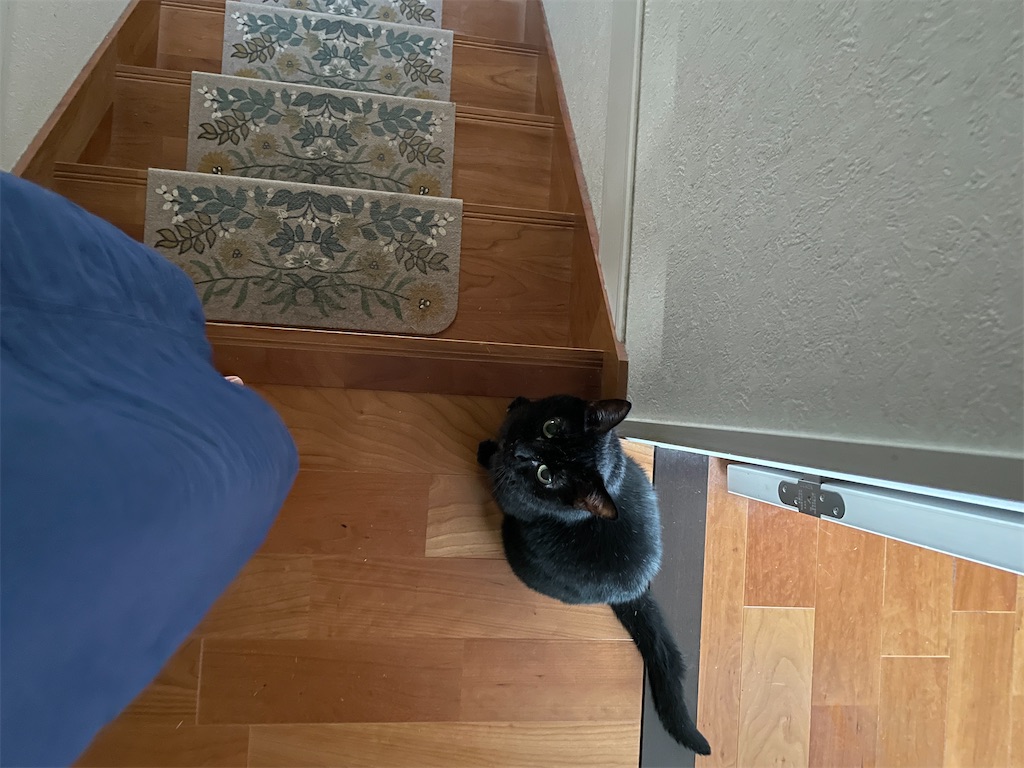 f:id:hiraryo0201:20230910164025j:image