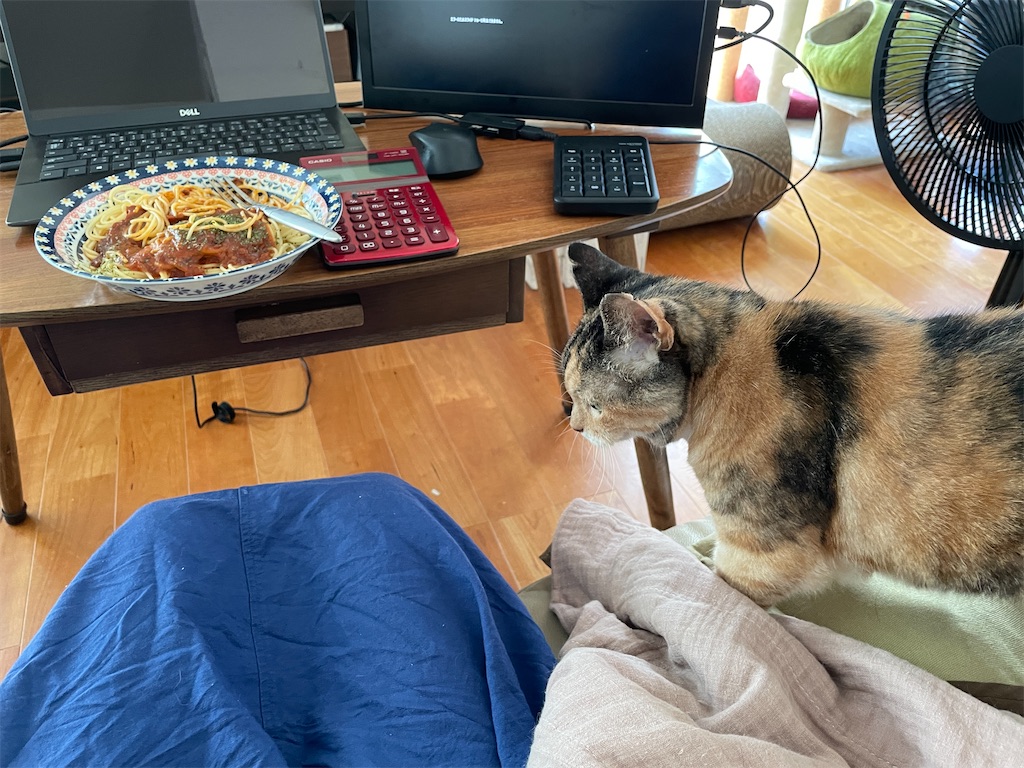 f:id:hiraryo0201:20230916094552j:image