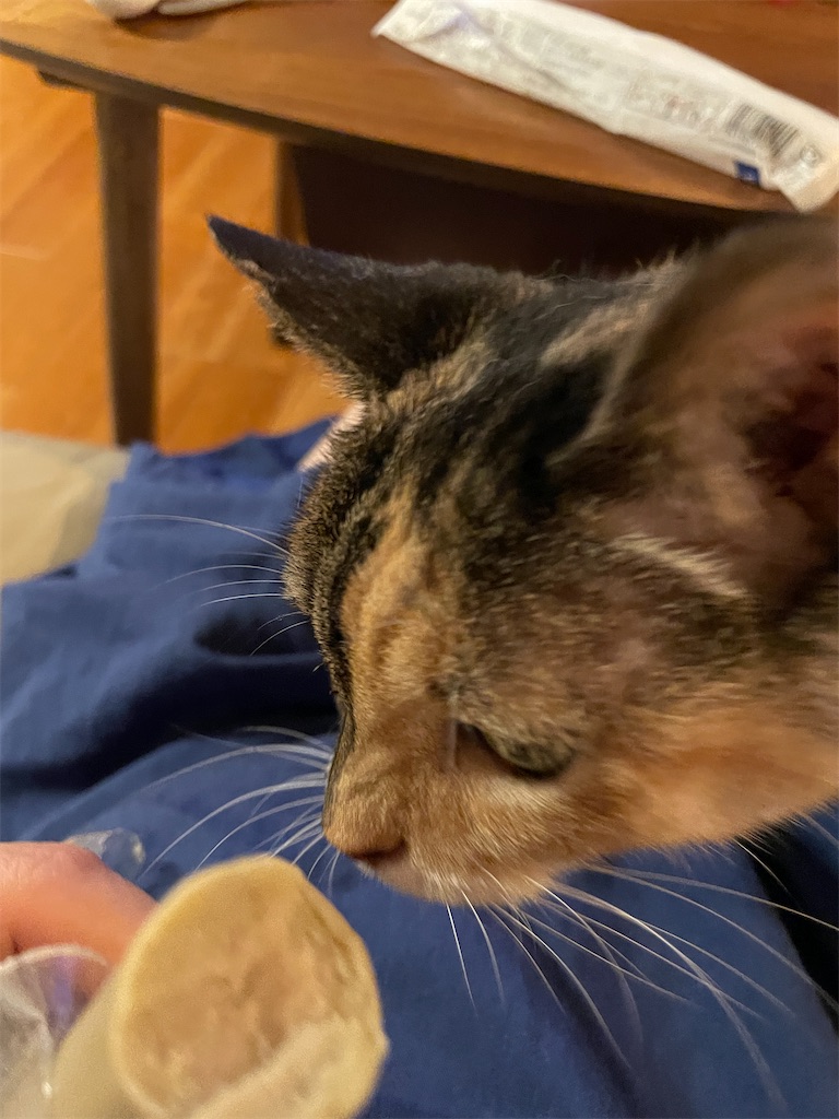 f:id:hiraryo0201:20230916094602j:image