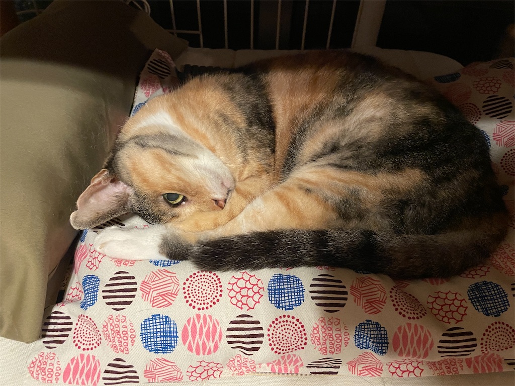 f:id:hiraryo0201:20230916094605j:image