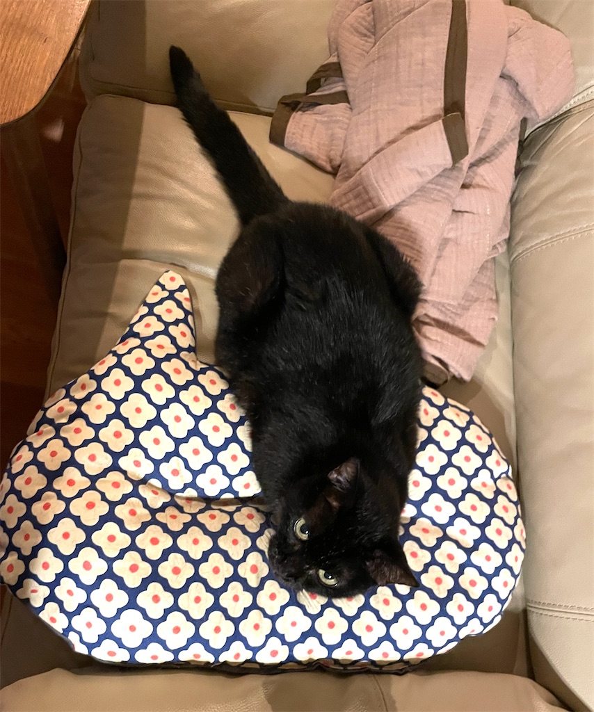 f:id:hiraryo0201:20230916094608j:image