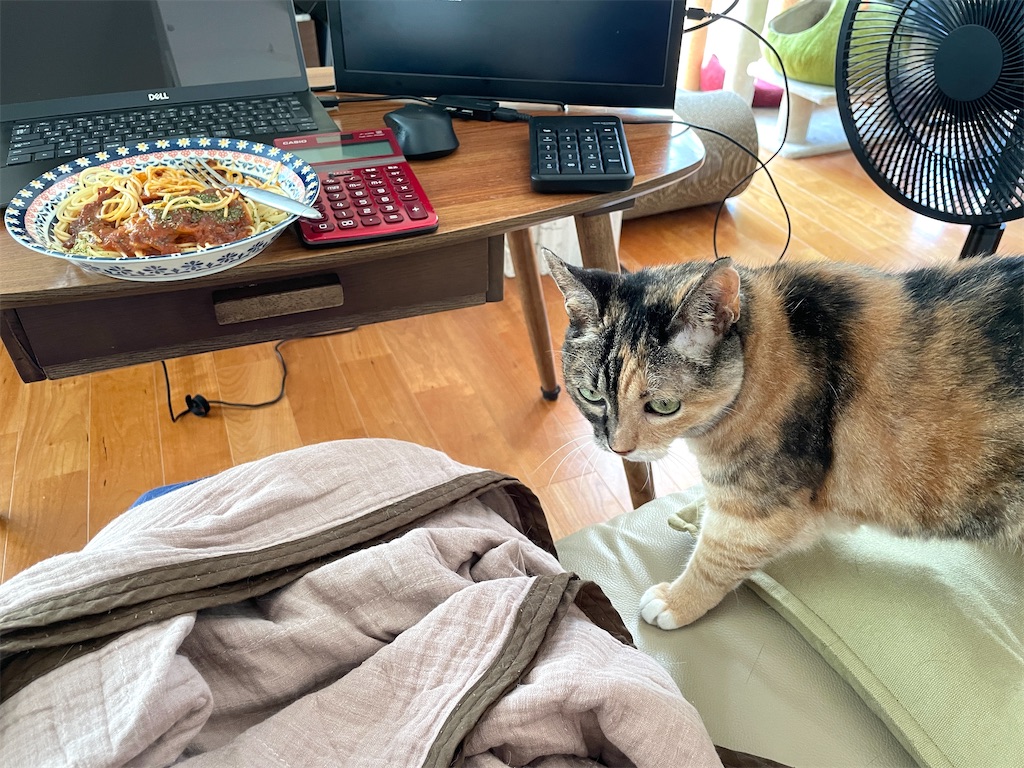 f:id:hiraryo0201:20230916094611j:image